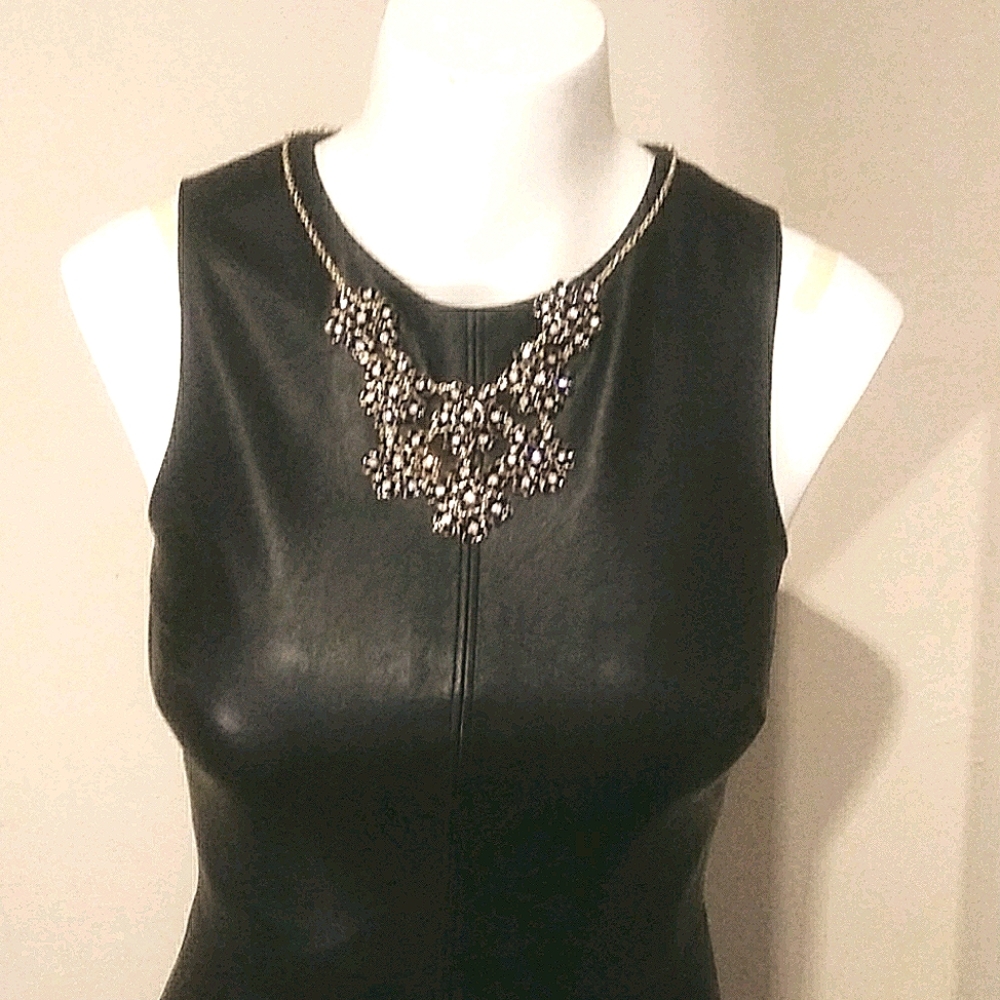 Vegan leather dress